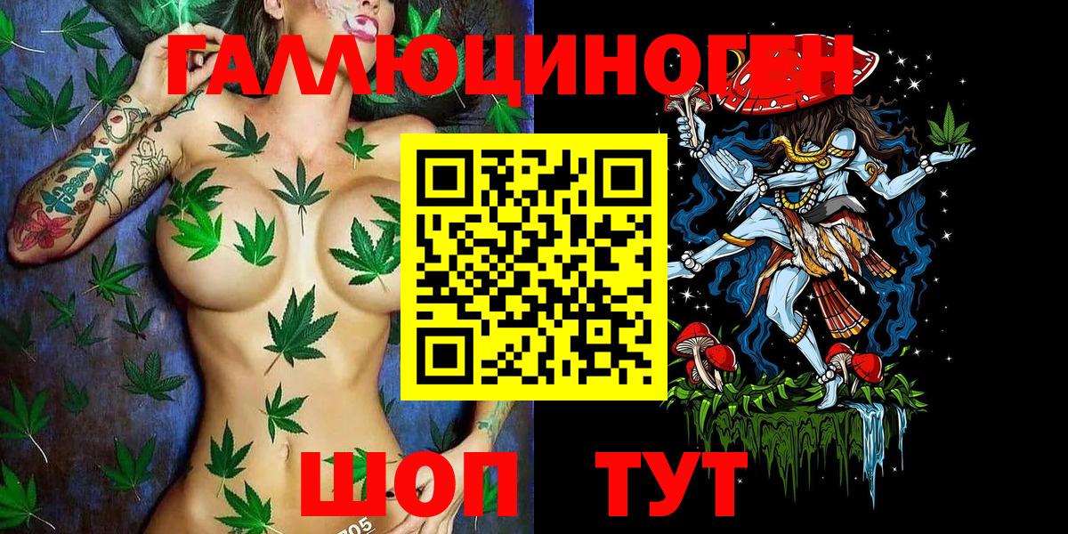 Псилоцибиновые грибы Cubensis Нововоронеж